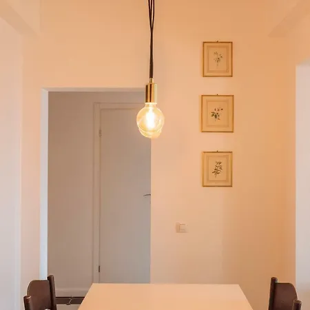 Daire Brezoianu Spacious Flat *