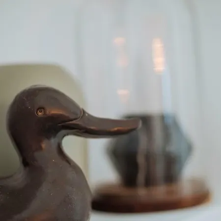 Brezoianu Spacious Flat *