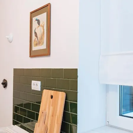 Brezoianu Spacious Flat דירה *