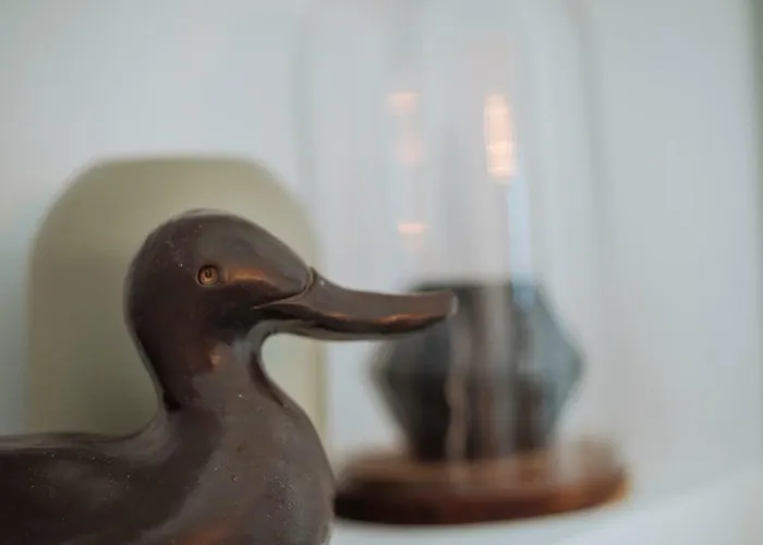 Brezoianu Spacious Flat *