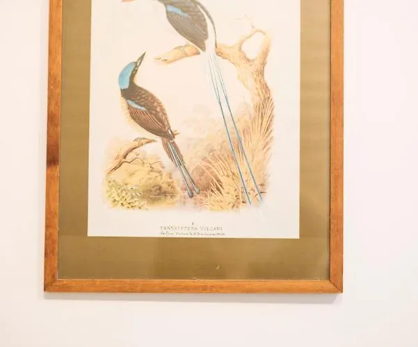 Brezoianu Spacious Flat *