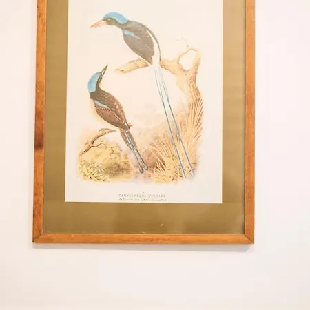 Brezoianu Spacious Flat *